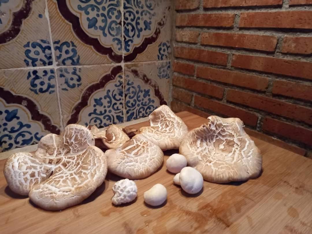 Willa Casa Della Nonna Caltavuturo Zewnętrze zdjęcie